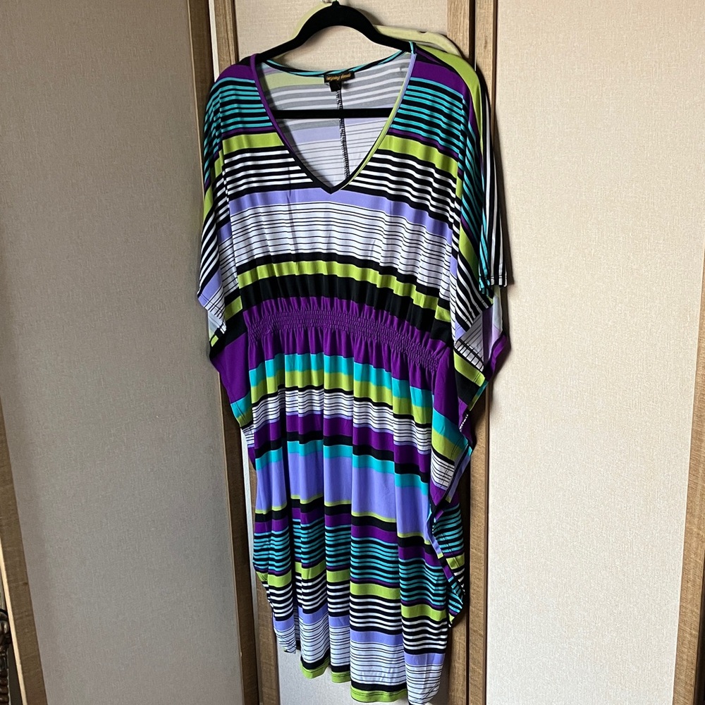 FINAL MARKDOWN Intriguing Threads Women's Striped dress 18w